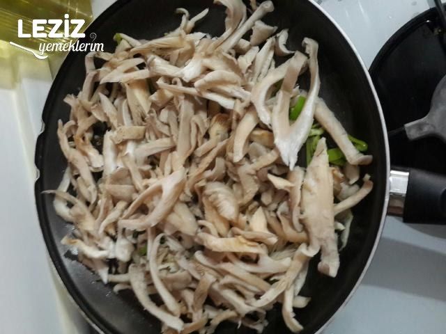 İstiridye Mantarı Kavurması