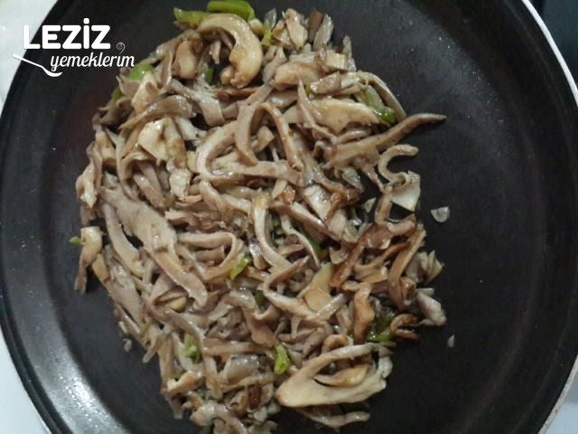 İstiridye Mantarı Kavurması