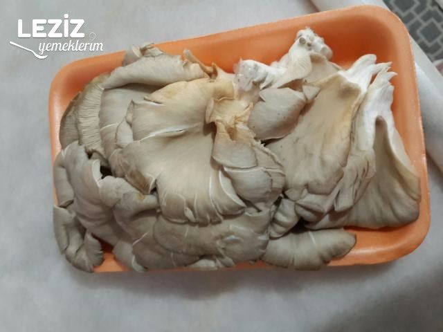 İstiridye Mantarı Kavurması