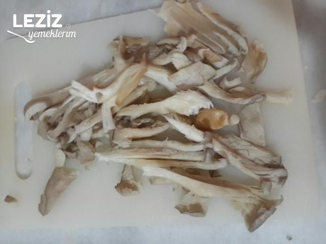 İstiridye Mantarı Kavurması