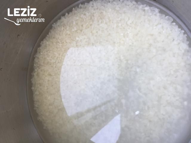 Tam Ölçü Muhallebi