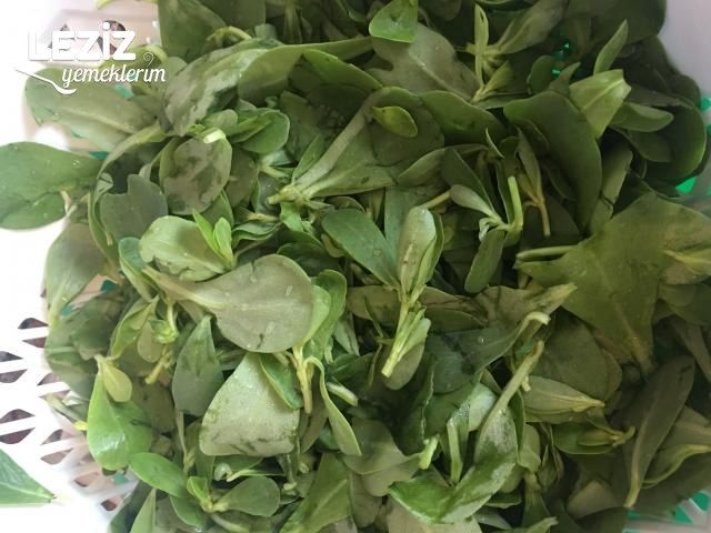 Süzme Yoğurtlu Semizotu Salatası