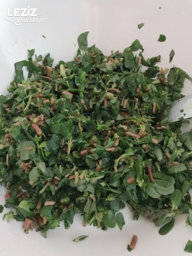 Semiz Otu Salatası (Aşama Fotoğraflı)