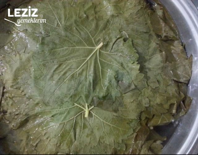 Bulgurdan Yaprak Sarması (Taze Yaprak)