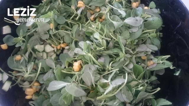 Nefis Semizotu Salatası (Pratik Lezzet)