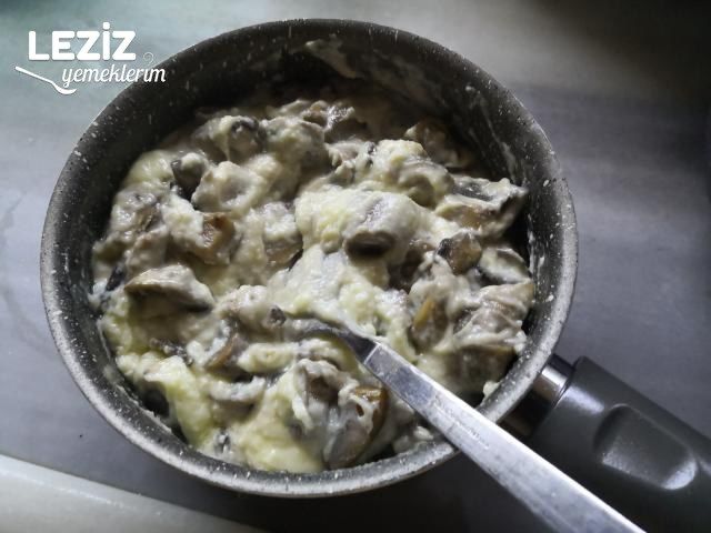 Tavuk(Piliç) Şövalye Özel Tarifi