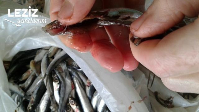 Hamsi Buğulama Tarifi