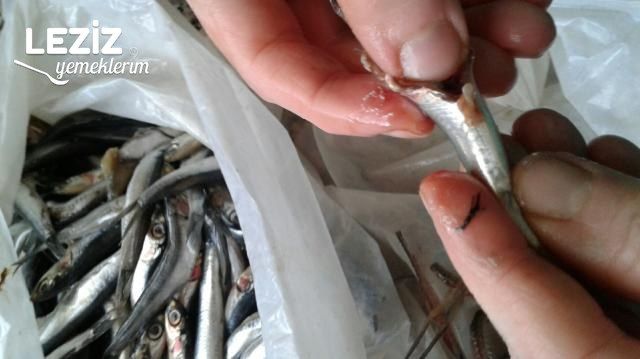 Hamsi Buğulama Tarifi