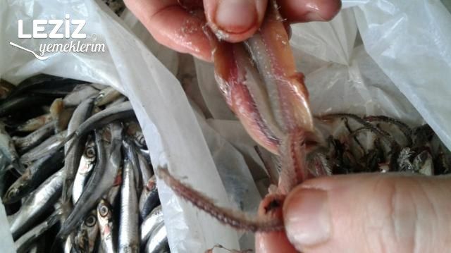 Hamsi Buğulama Tarifi