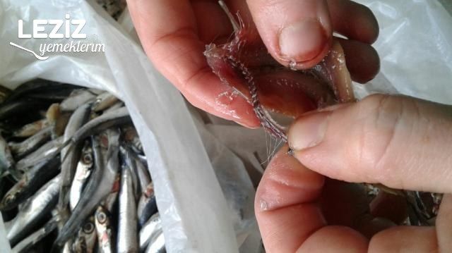 Hamsi Buğulama Tarifi