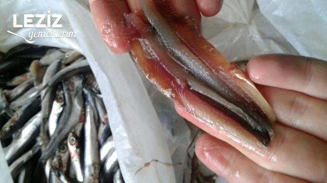 Hamsi Buğulama Tarifi