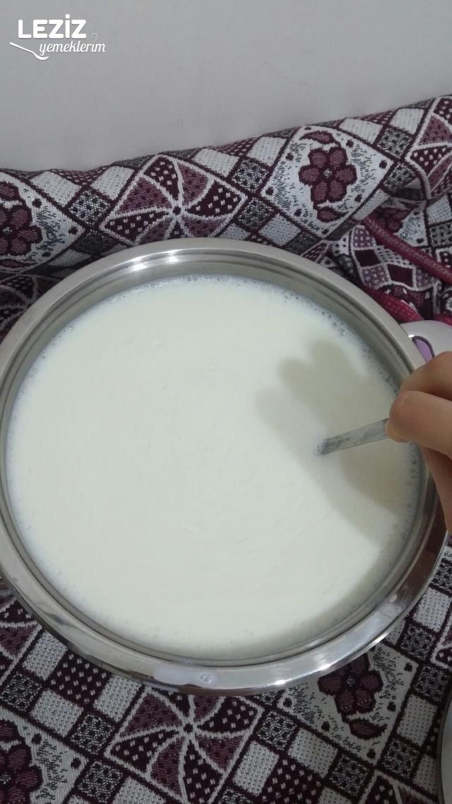 Evde Yoğurt Nasıl Mayalanır?