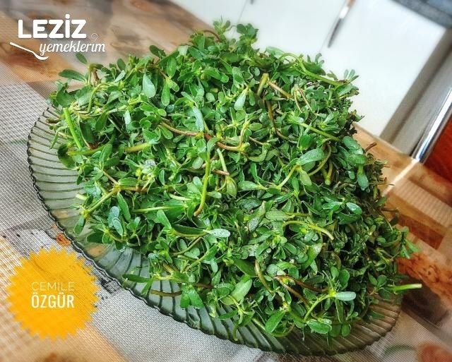 Semiz Otu Kavurması