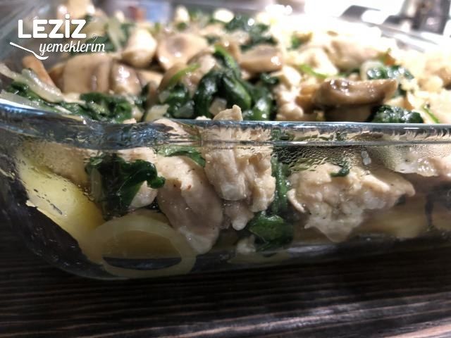 Fırında Beşamelli Patatesli Tavuk