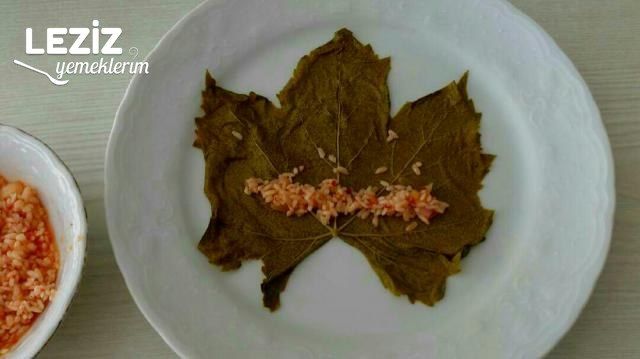 Etsiz Taze Yaprak Sarması