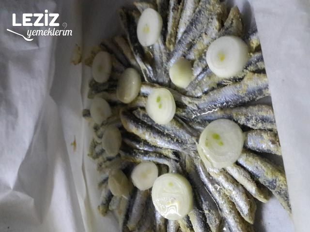 Kağıtta Hamsi (Kokusuz)