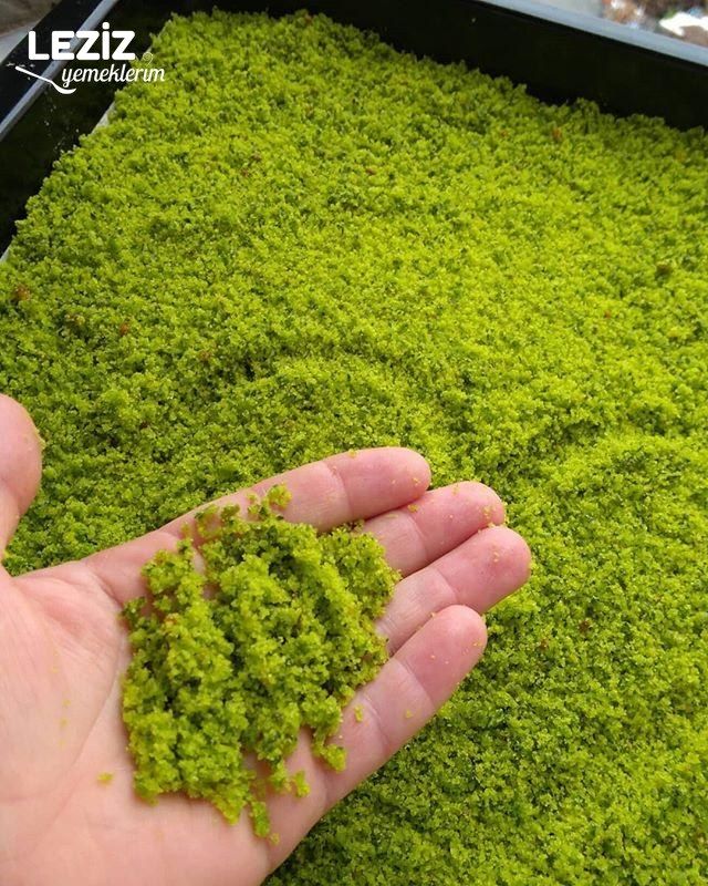 Yalancı Antep Fıstığı