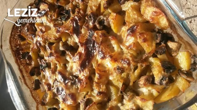 Beşamel Soslu Mantarlı Patates