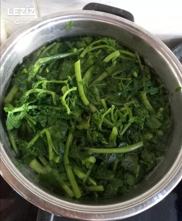 Hardal Otu Salatası