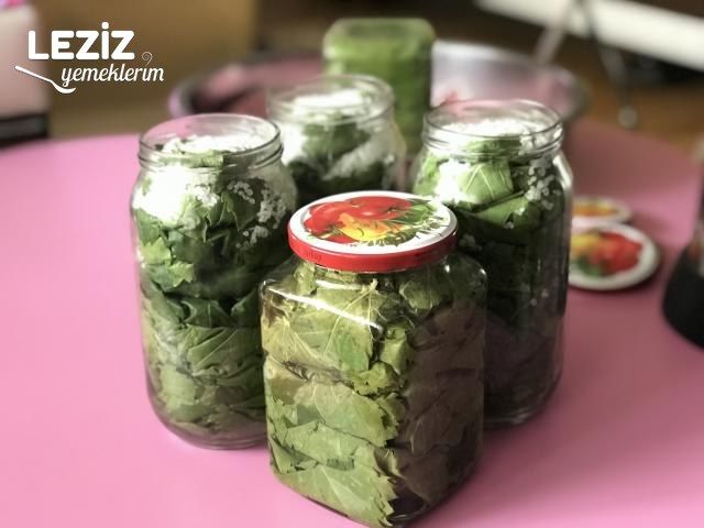 Kavanozda Salamura Yaprak