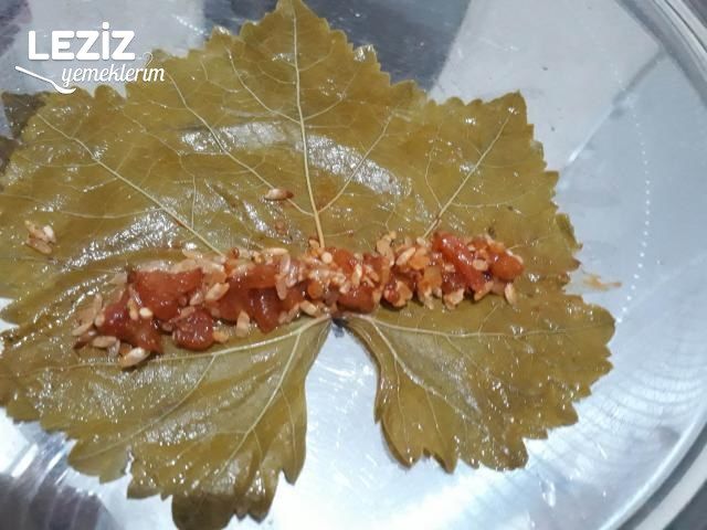 Zeytinyağlı Yaprak Sarması (Bütün Detaylarıyla)