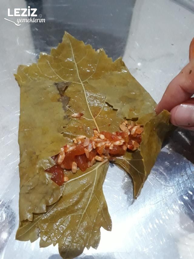 Zeytinyağlı Yaprak Sarması (Bütün Detaylarıyla)