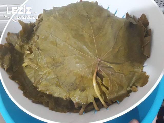 Zeytinyağlı Yaprak Sarması (Bütün Detaylarıyla)