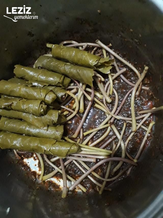 Zeytinyağlı Yaprak Sarması (Bütün Detaylarıyla)