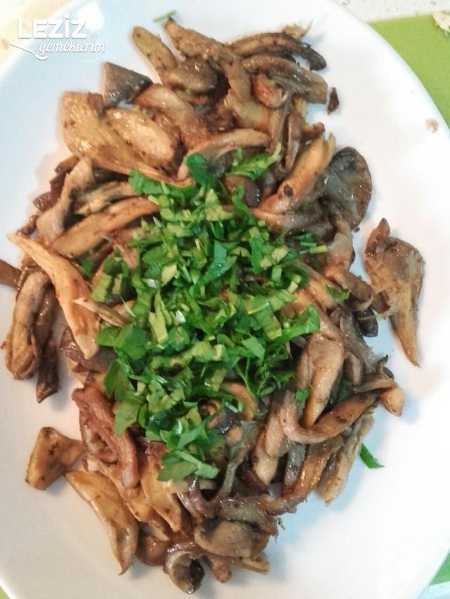 İstiridye Mantar Kavurması