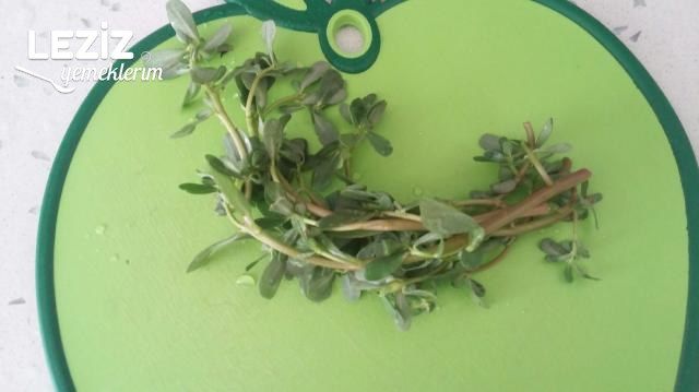 Yoğurtlu Semizotu Salatası Yapılışı