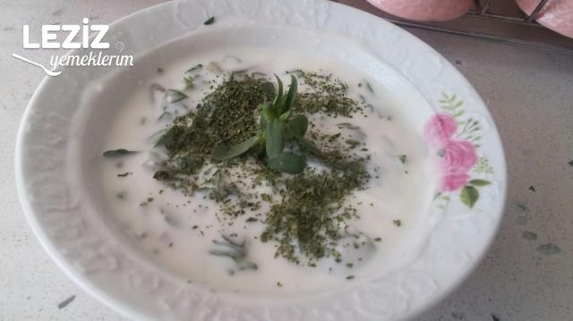 Yoğurtlu Semizotu Salatası Yapılışı
