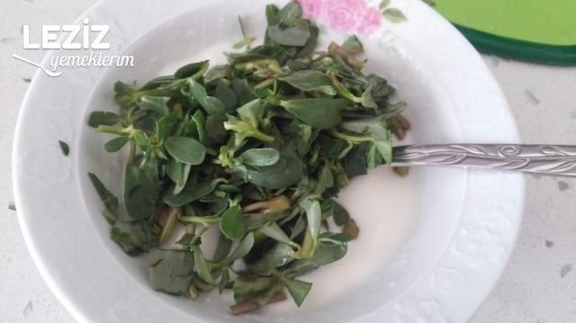 Yoğurtlu Semizotu Salatası Yapılışı