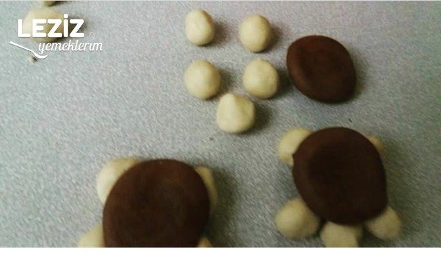 Kaplumbağa Kurabiye