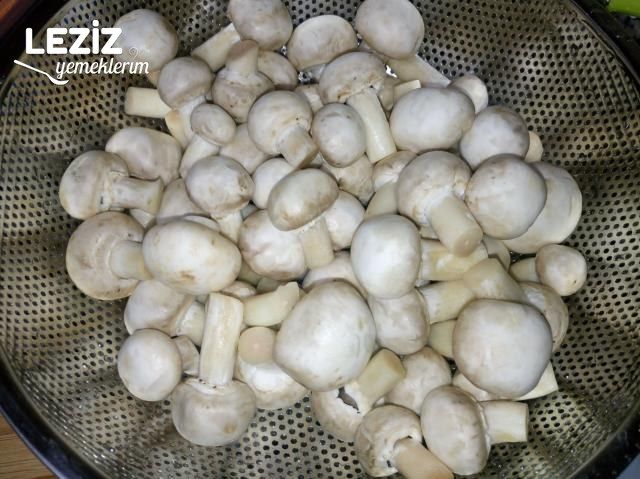 Zeytinyağlı Çin Usulü Mantar Sote