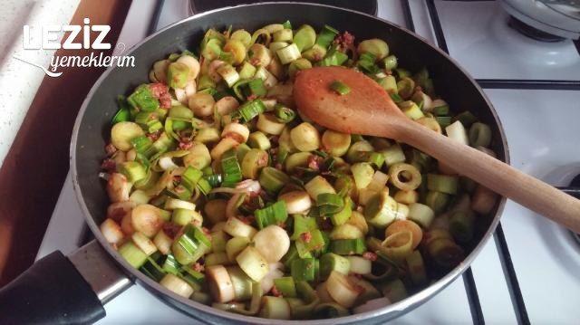 Çıtır Çıtır Kıymalı Pırasalı Börek