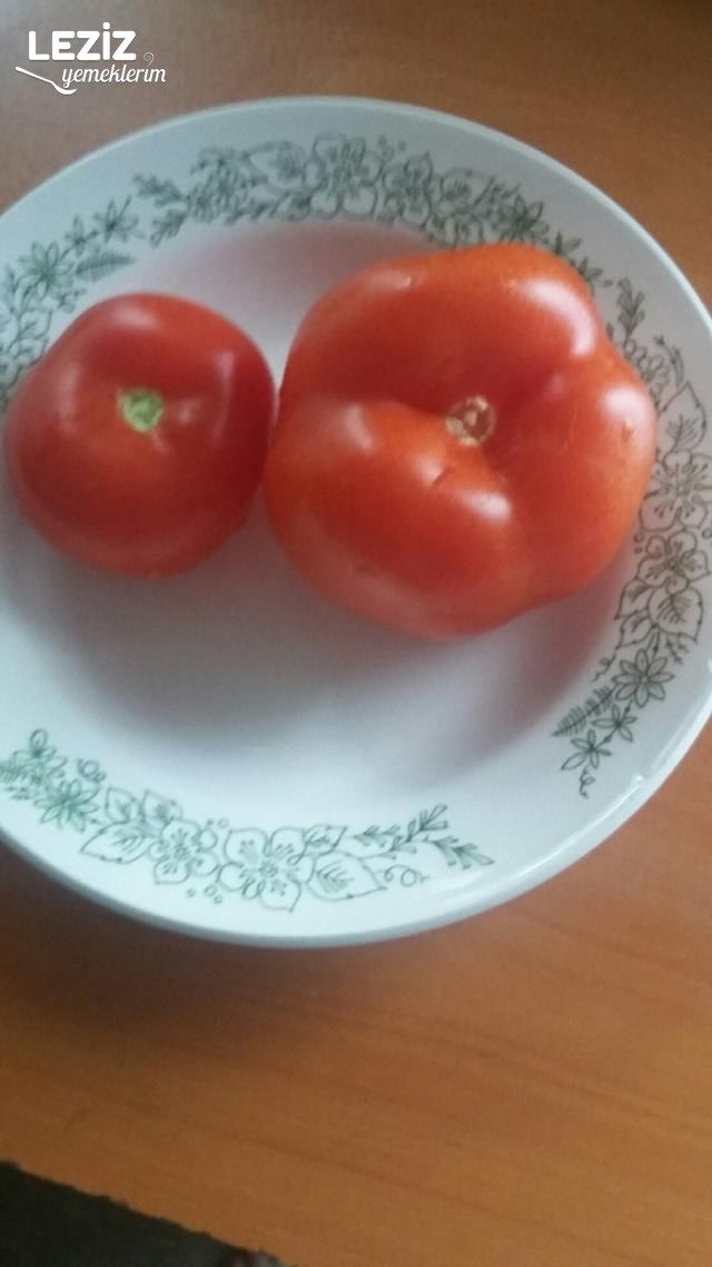 Fırında Yaz Türlüsü