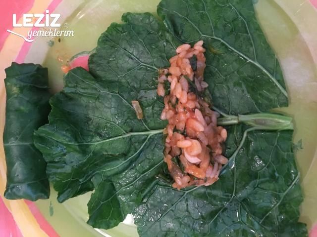 Bahar Dolması (Karalahana İle)