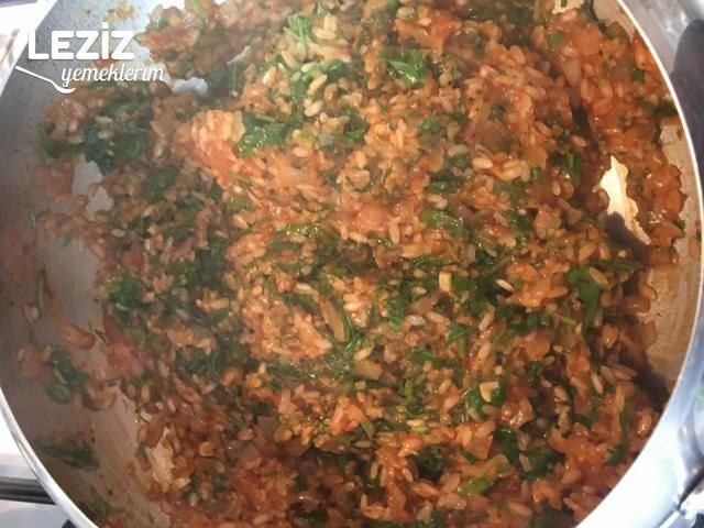 Bahar Dolması (Karalahana İle)