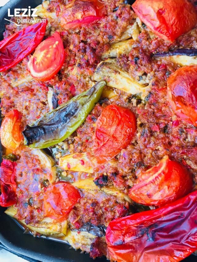 Nefis Patlıcan Oturtma