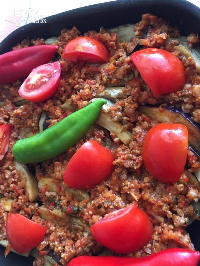 Nefis Patlıcan Oturtma