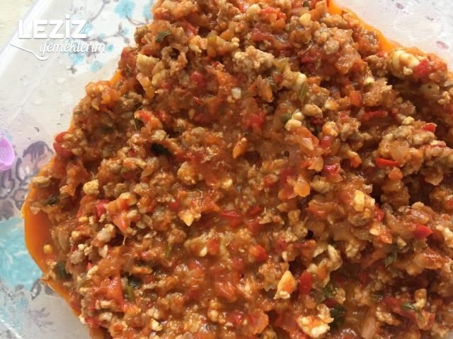 Nefis Patlıcan Oturtma