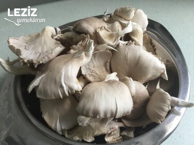 İstiridye Mantarı Sote