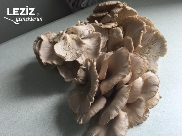 İstiridye Mantarı Sote