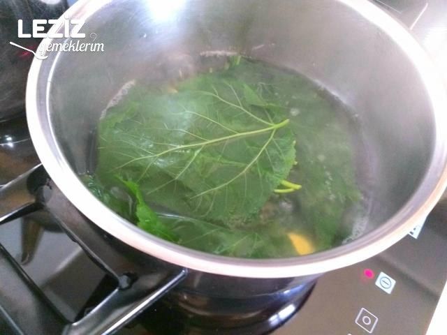 Dut Yaprağıyla Sarma