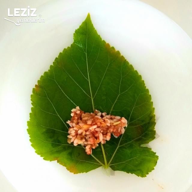 Dut Yaprağıyla Sarma
