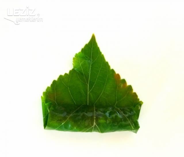 Dut Yaprağıyla Sarma