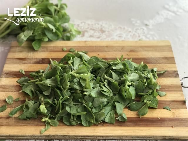 Nefis Yoğurtlu Semizotu Salatası