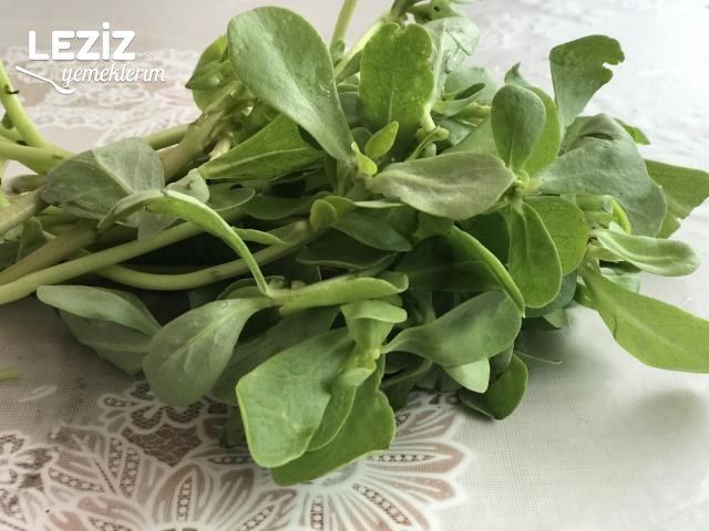 Nefis Yoğurtlu Semizotu Salatası