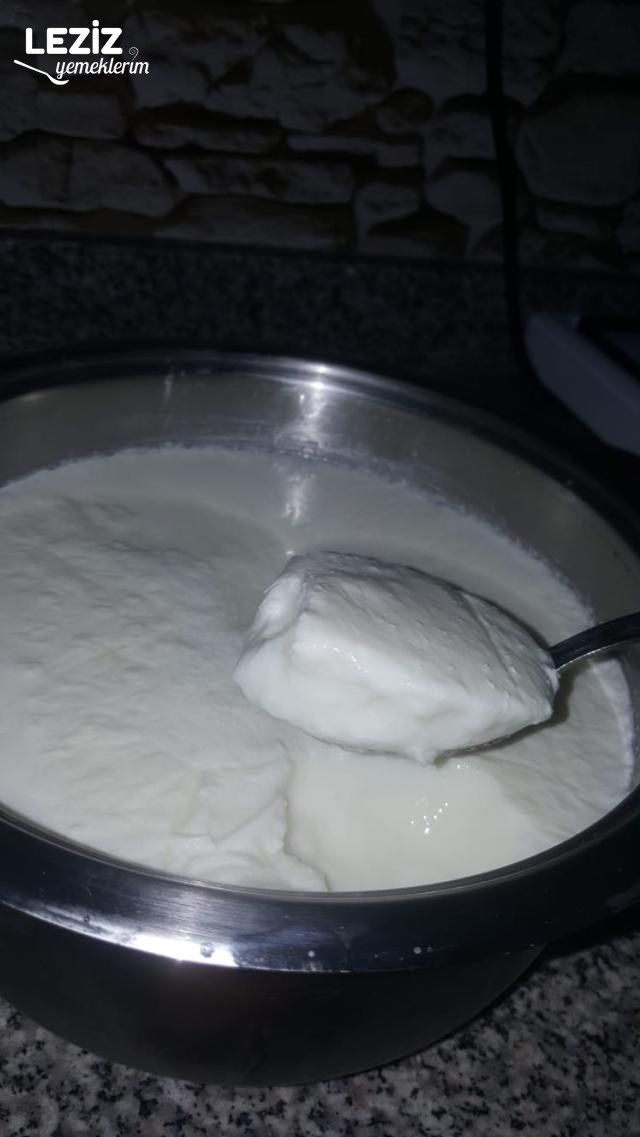 Ev Yapımı Yogurt Nasıl Yapılır