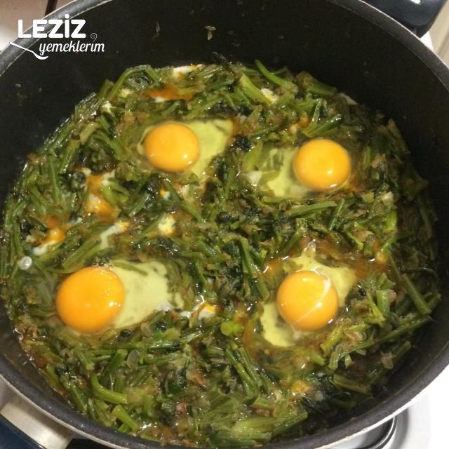 Yumurtalı Ispanak Sapı Kavurması